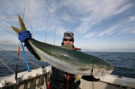 オーシャンズ　京都 釣果