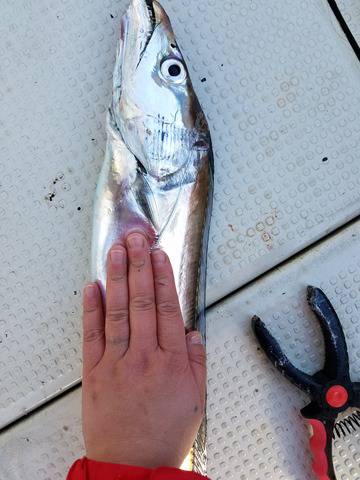 遊漁船　ニライカナイ 釣果