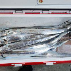 遊漁船 ニライカナイ 釣果