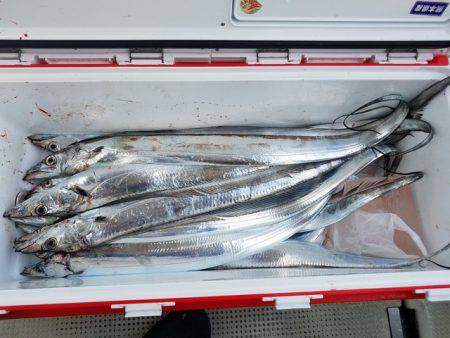 遊漁船 ニライカナイ 釣果