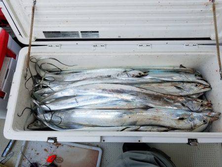 遊漁船　ニライカナイ 釣果