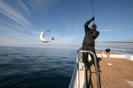 オーシャンズ　京都 釣果