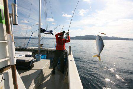 オーシャンズ　京都 釣果