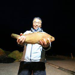 オーシャンズ　京都 釣果