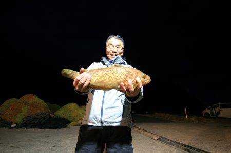 オーシャンズ　京都 釣果