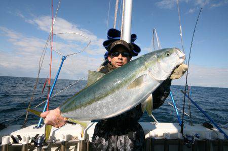 オーシャンズ　京都 釣果