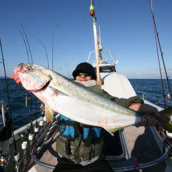 オーシャンズ　京都 釣果