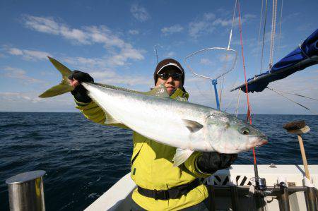 オーシャンズ　京都 釣果