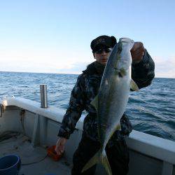 オーシャンズ　京都 釣果