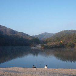 フィッシングレイクたかみや 釣果