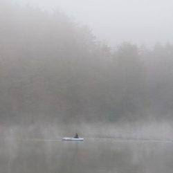 フィッシングレイクたかみや 釣果
