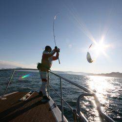 オーシャンズ　京都 釣果