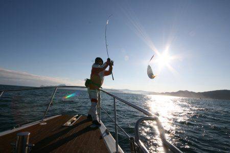 オーシャンズ　京都 釣果