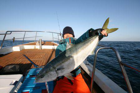 オーシャンズ　京都 釣果