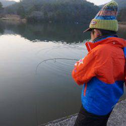 フィッシングレイクたかみや 釣果