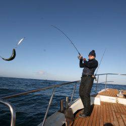 オーシャンズ　京都 釣果
