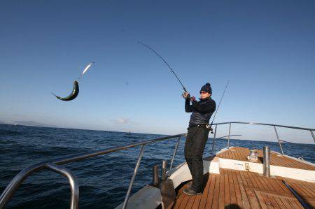 オーシャンズ　京都 釣果