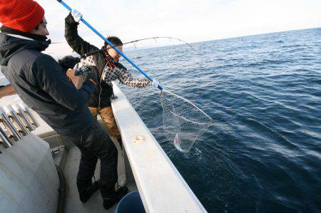 オーシャンズ　京都 釣果