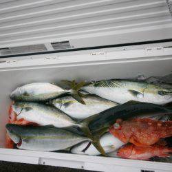 オーシャンズ　京都 釣果