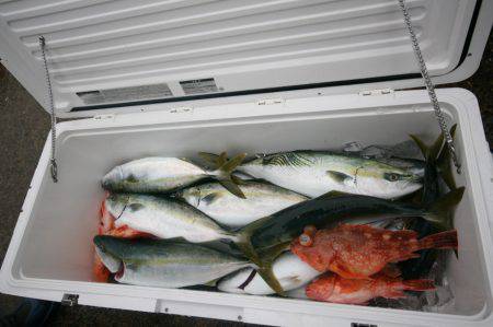 オーシャンズ　京都 釣果