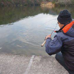 フィッシングレイクたかみや 釣果