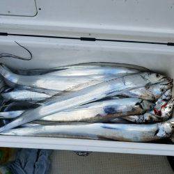 遊漁船 ニライカナイ 釣果