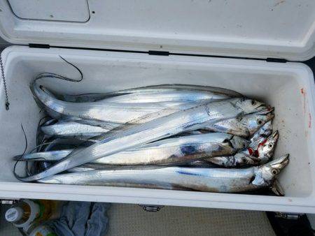 遊漁船 ニライカナイ 釣果