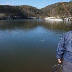 フィッシングレイクたかみや 釣果