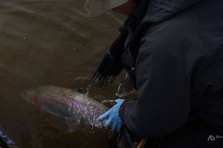 フィッシングレイクたかみや 釣果