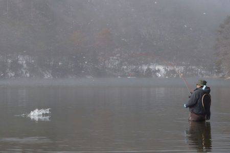 フィッシングレイクたかみや 釣果