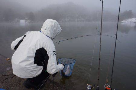 フィッシングレイクたかみや 釣果