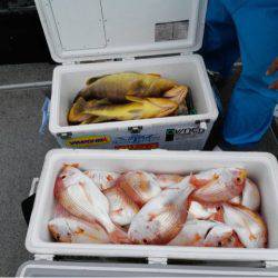 第二大福丸 釣果