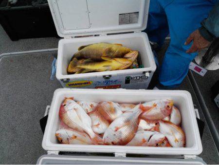 第二大福丸 釣果