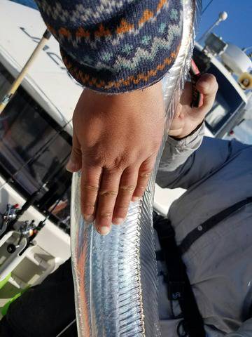 遊漁船　ニライカナイ 釣果