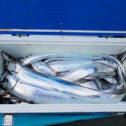 遊漁船 ニライカナイ 釣果