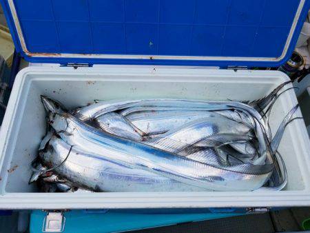 遊漁船　ニライカナイ 釣果