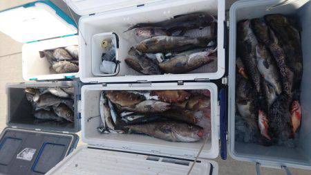 気仙沼　つり丸 釣果