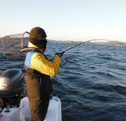 開進丸 釣果