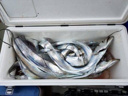 遊漁船 ニライカナイ 釣果