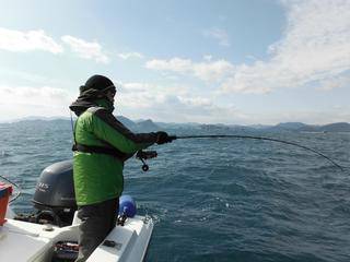 開進丸 釣果
