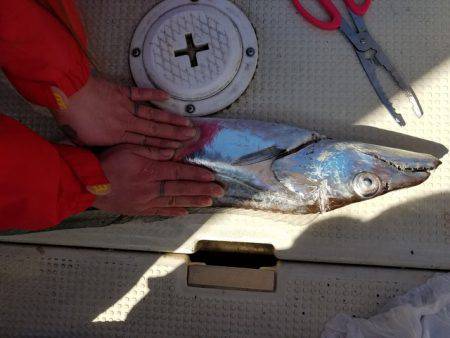 遊漁船 ニライカナイ 釣果