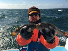 おざき丸 釣果