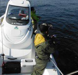 開進丸 釣果