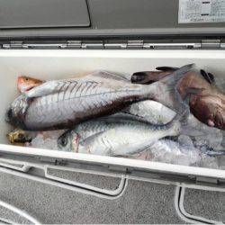 第二大福丸 釣果