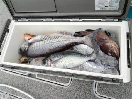 第二大福丸 釣果