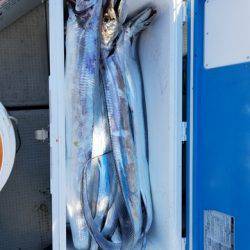 遊漁船 ニライカナイ 釣果