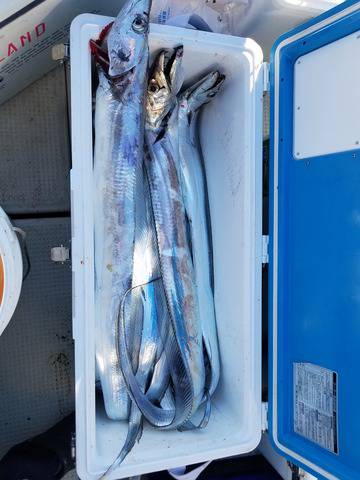 遊漁船 ニライカナイ 釣果