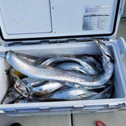 遊漁船　ニライカナイ 釣果