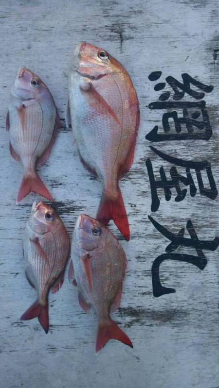 網屋丸 釣果