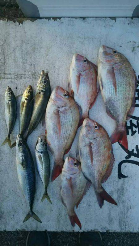 網屋丸 釣果
